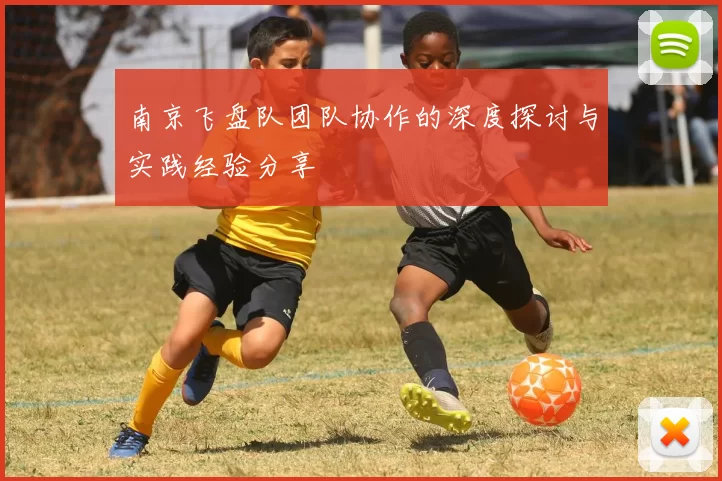 南京飞盘队团队协作的深度探讨与实践经验分享