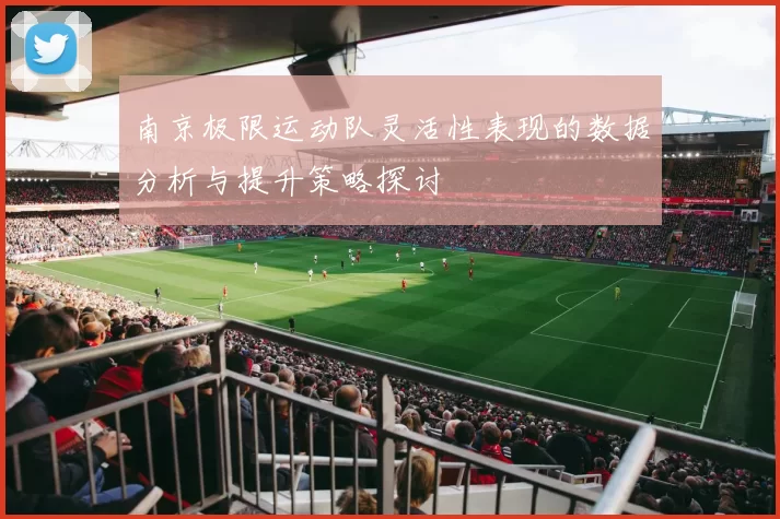 南京极限运动队灵活性表现的数据分析与提升策略探讨