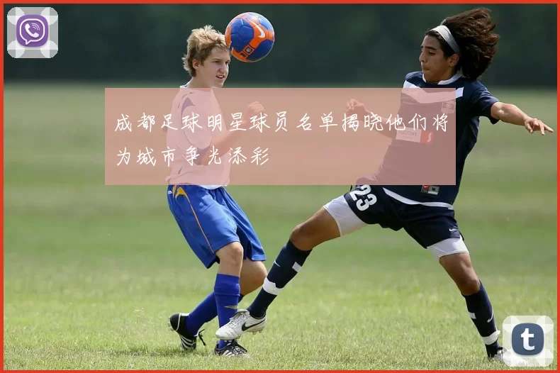 成都足球明星球员名单揭晓他们将为城市争光添彩