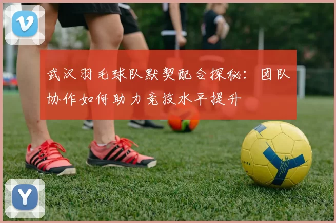 武汉羽毛球队默契配合探秘：团队协作如何助力竞技水平提升