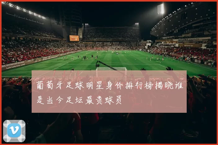 葡萄牙足球明星身价排行榜揭晓谁是当今足坛最贵球员