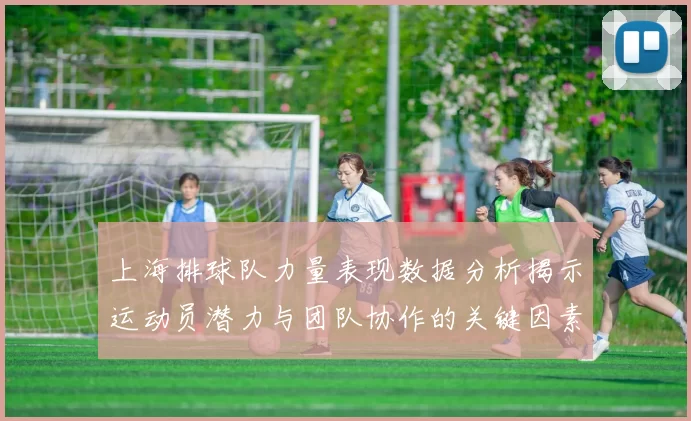 上海排球队力量表现数据分析揭示运动员潜力与团队协作的关键因素