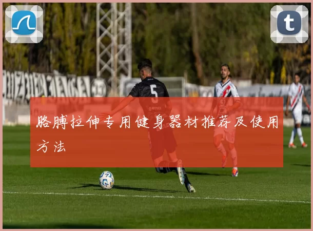 胳膊拉伸专用健身器材推荐及使用方法