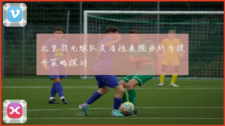 北京羽毛球队灵活性表现分析与提升策略探讨