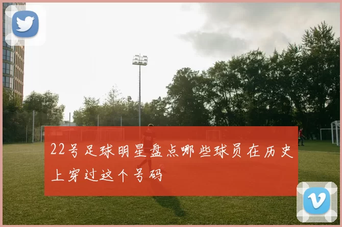 22号足球明星盘点哪些球员在历史上穿过这个号码