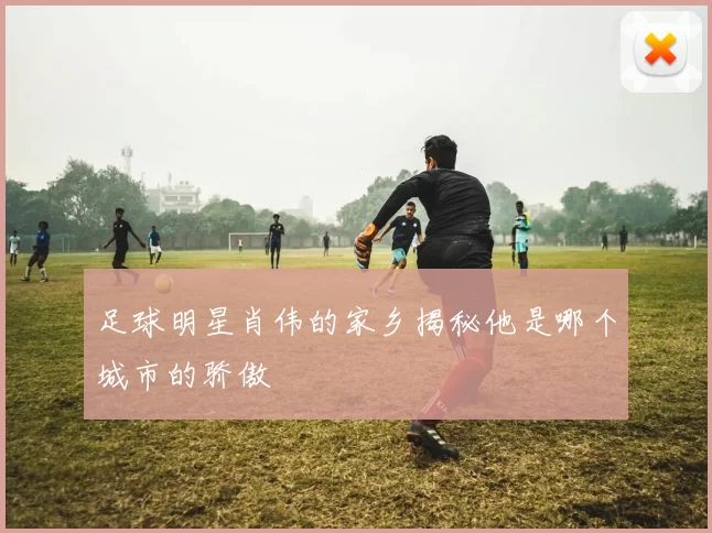 足球明星肖伟的家乡揭秘他是哪个城市的骄傲