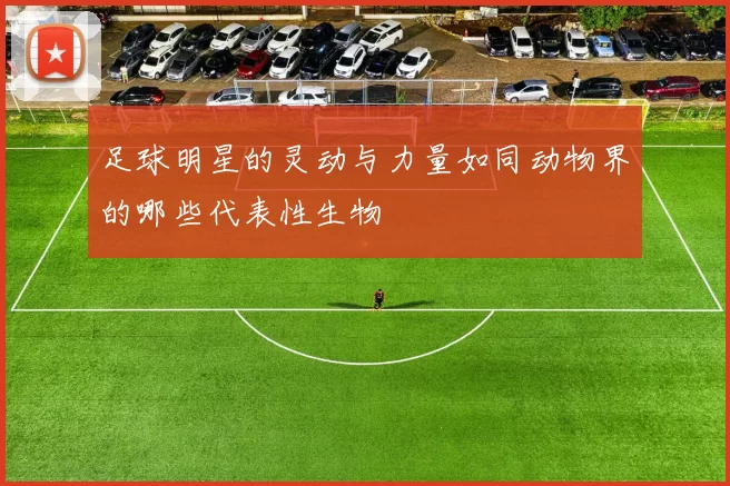 足球明星的灵动与力量如同动物界的哪些代表性生物