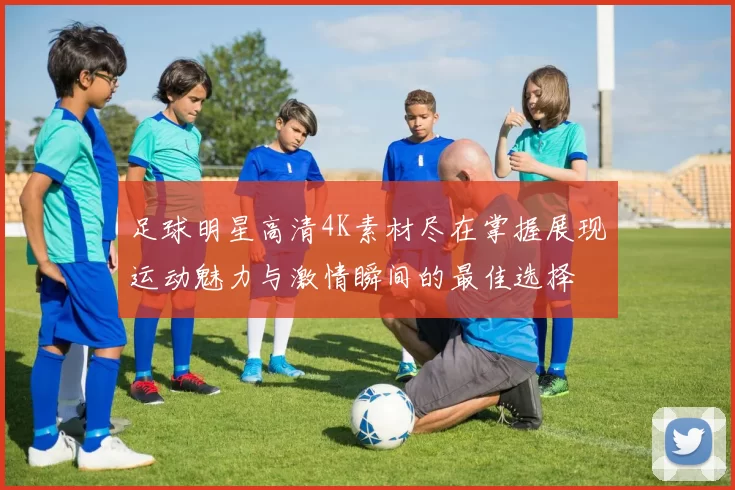 足球明星高清4K素材尽在掌握展现运动魅力与激情瞬间的最佳选择