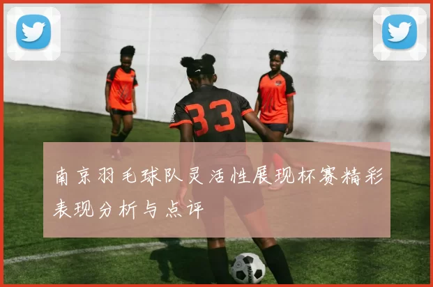 南京羽毛球队灵活性展现杯赛精彩表现分析与点评