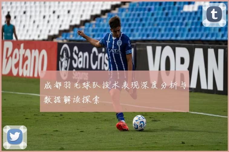 成都羽毛球队技术表现深度分析与数据解读探索