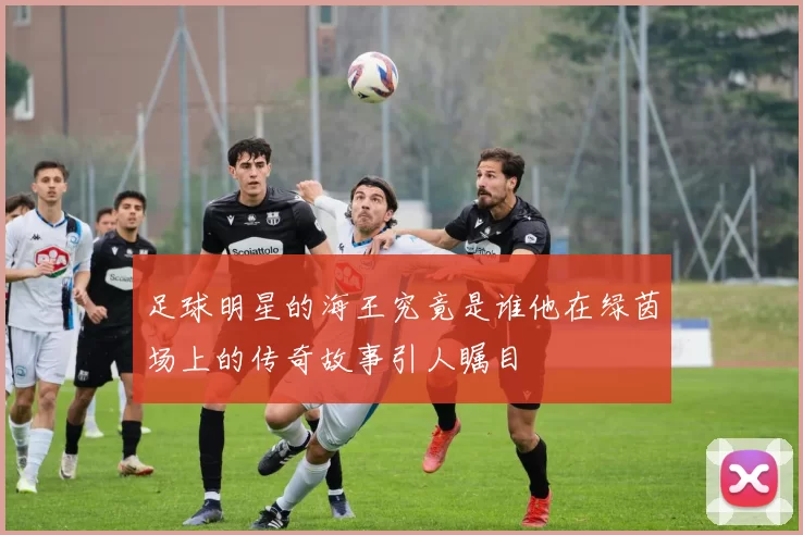 足球明星的海王究竟是谁他在绿茵场上的传奇故事引人瞩目
