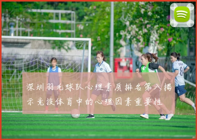 深圳羽毛球队心理素质排名第八揭示竞技体育中的心理因素重要性