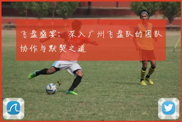 飞盘盛宴：深入广州飞盘队的团队协作与默契之道