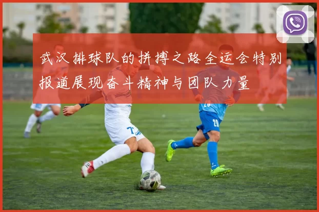 武汉排球队的拼搏之路全运会特别报道展现奋斗精神与团队力量