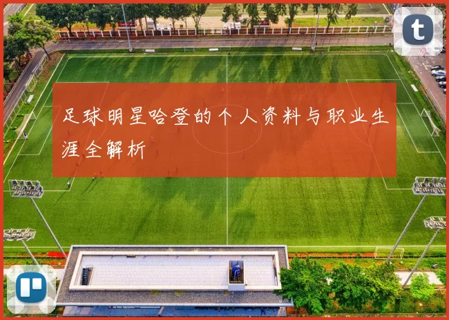 足球明星哈登的个人资料与职业生涯全解析