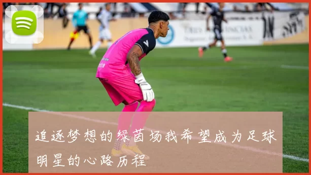 追逐梦想的绿茵场我希望成为足球明星的心路历程