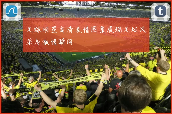 足球明星高清表情图集展现足坛风采与激情瞬间