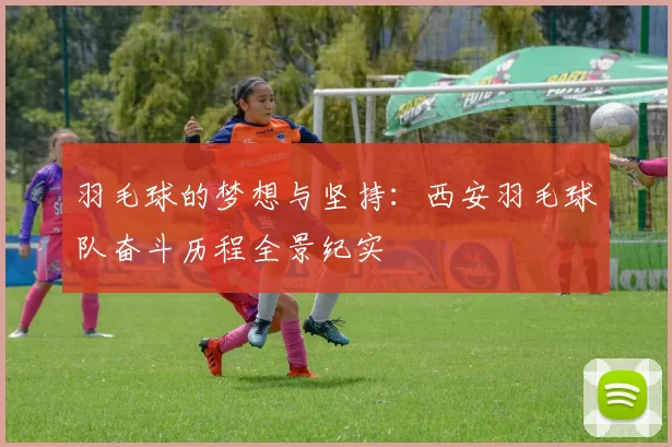 羽毛球的梦想与坚持：西安羽毛球队奋斗历程全景纪实