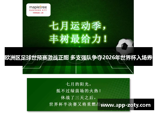 欧洲区足球世预赛激战正酣 多支强队争夺2026年世界杯入场券