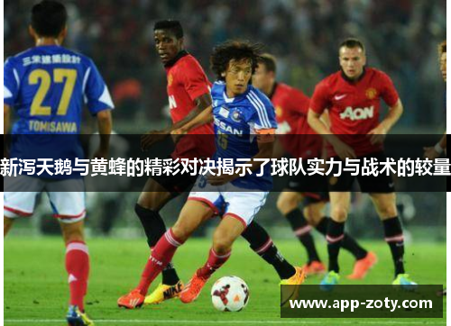 新泻天鹅与黄蜂的精彩对决揭示了球队实力与战术的较量